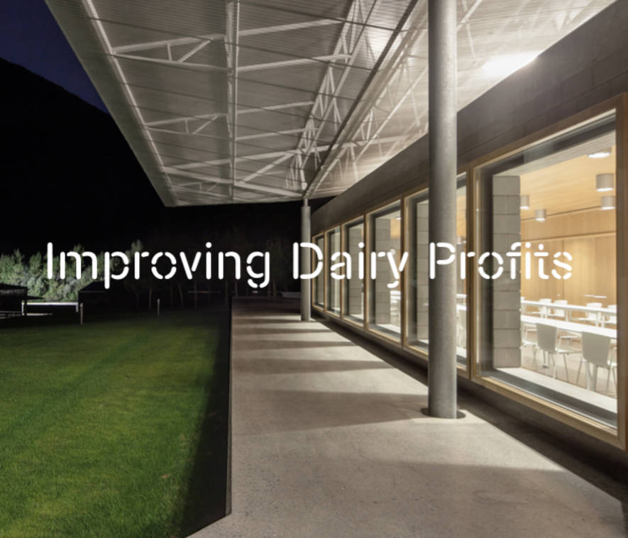 Fostering and improving dairy profits through nutrition and management | Blanca from the Pyrenees